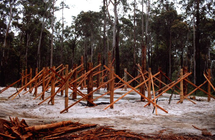 Woodhenge! All the poles are plumb and braced.