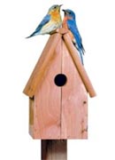Perky Pet Bluebird Home Cedar Birdhouse