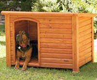 The Bungalow Dog House