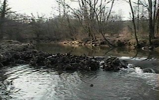 local damaged dam