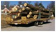 Logs loaded on a trailer ready for the lumber mill...