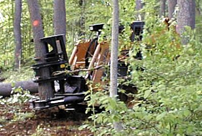 A feller buncher moving a tree after it has been cut.