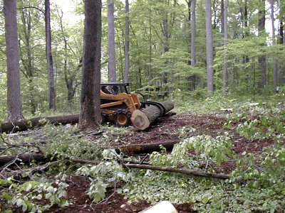 A grappler being used to move a poplar log.