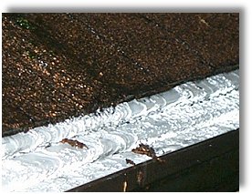 The WaterFall Gutter Guard System